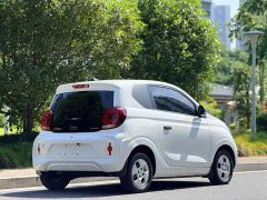 SAIC Colewey Corey Wei CLEVER 302km Excellence Edition - photo 6