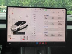 Tesla Model Y Long Range All-Wheel Drive Launch Edition - ფოტო 8