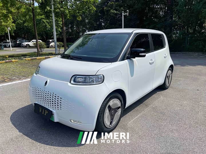 ORA White Cat 2020 401km Long Range - ავტომობილი ჩინეთიდან