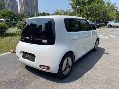 ORA White Cat 2020 401km Long Range - ფოტო 17