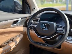 BYD Yuan Plus EV Glory Edition 100KM Deluxe 7-Seater - ფოტო 11