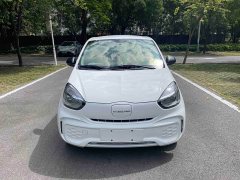 SAIC Corey CLEVER 311km Clever 311km Vitality Pop Edition - ფოტო 2