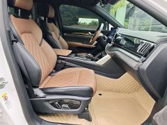 BYD Yuan Plus DM-i 2021 112KM Premium Edition - ფოტო 14