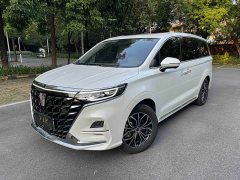 SAIC Rong Wei iMAX8 New Energy 1.5T DMH Land Respect Luxury Edition - ფოტო 1