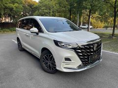 SAIC Rong Wei iMAX8 New Energy 1.5T DMH Land Respect Luxury Edition - ფოტო 3