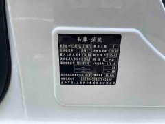 SAIC Rong Wei iMAX8 New Energy 1.5T DMH Land Respect Luxury Edition - ფოტო 9