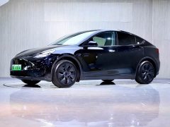 Tesla Model Y Rear-Wheel Drive - ფოტო 1
