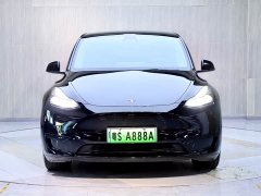 Tesla Model Y Rear-Wheel Drive - ფოტო 2