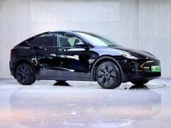 Tesla Model Y Rear-Wheel Drive - ფოტო 3
