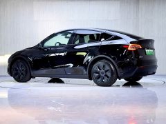 Tesla Model Y Rear-Wheel Drive - ფოტო 5