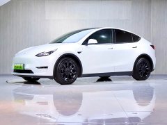 Tesla Model Y Long Range All-Wheel Drive 3D7 - ფოტო 1