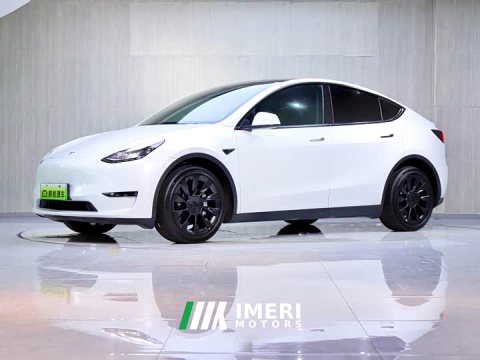 2021 Tesla Model Y Long Range All-Wheel Drive 3D7 - ავტომობილი ჩინეთიდან