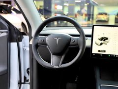 Tesla Model Y Long Range All-Wheel Drive 3D7 - ფოტო 11