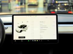 Tesla Model Y Long Range All-Wheel Drive 3D7 - ფოტო 12