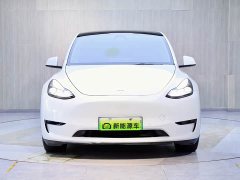 Tesla Model Y Long Range All-Wheel Drive 3D7 - ფოტო 2