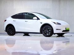Tesla Model Y Long Range All-Wheel Drive 3D7 - ფოტო 3