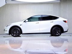 Tesla Model Y Long Range All-Wheel Drive 3D7 - ფოტო 4