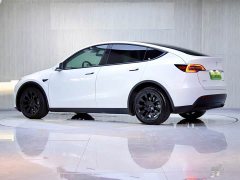 Tesla Model Y Long Range All-Wheel Drive 3D7 - ფოტო 5