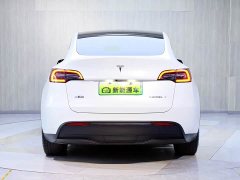 Tesla Model Y Long Range All-Wheel Drive 3D7 - ფოტო 6