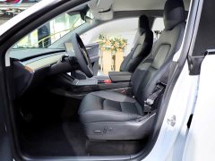 Tesla Model Y Long Range All-Wheel Drive 3D7 - ფოტო 8