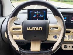 Changan Lumin 2022 210km Sweet Edition - ფოტო 16