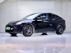 Tesla Model Y Rear-Wheel Drive - ფოტო 1