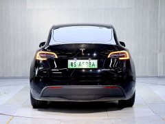 Tesla Model Y Rear-Wheel Drive - ფოტო 6
