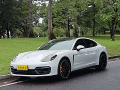 Porsche Panamera 2.9T - ფოტო 1