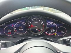 Porsche Panamera 2.9T - ფოტო 13