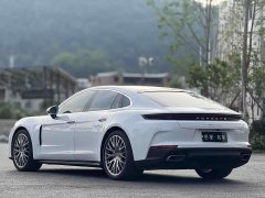 Porsche Panamera 2.9T - ფოტო 14