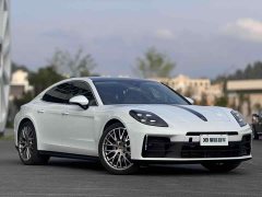 Porsche Panamera 2.9T - ფოტო 3