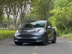 Tesla Model Y 2023 Long Range All-Wheel Drive - ფოტო 1