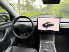 Tesla Model Y 2023 Long Range All-Wheel Drive - ფოტო 19