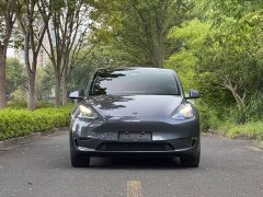 Tesla Model Y 2023 Long Range All-Wheel Drive - ფოტო 2