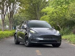 Tesla Model Y 2023 Long Range All-Wheel Drive - ფოტო 3