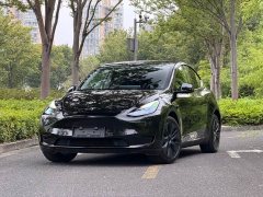 Tesla Model Y Long Range All-Wheel Drive - ფოტო 1