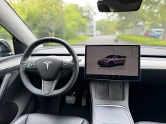 Tesla Model Y Long Range All-Wheel Drive - ფოტო 16