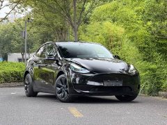Tesla Model Y Long Range All-Wheel Drive - ფოტო 3