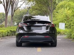 Tesla Model Y Long Range All-Wheel Drive - ფოტო 5
