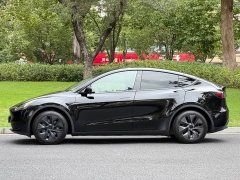 Tesla Model Y Long Range All-Wheel Drive - ფოტო 7