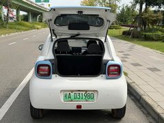 ORA Black Cat 405km Long Range - ფოტო 11