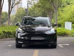 Tesla Model Y Rear-Wheel Drive - ფოტო 2