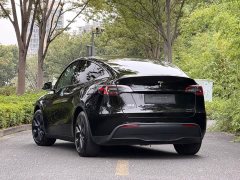 Tesla Model Y Rear-Wheel Drive - ფოტო 4