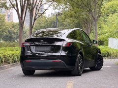 Tesla Model Y Rear-Wheel Drive - ფოტო 6