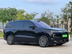 Ora ID. ERA 9X Max AWD - ფოტო 5
