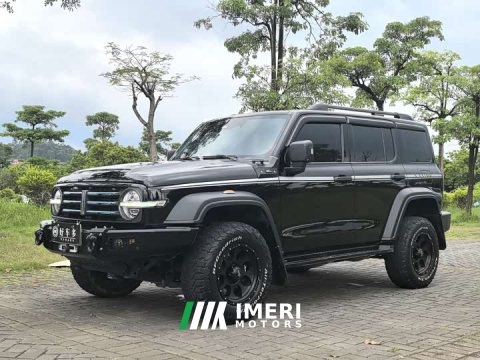 2021 Tank 300 Off-Road Edition 2.0T Conqueror - ავტომობილი ჩინეთიდან