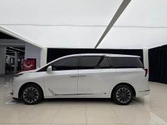 Buick GL8 Luzun Respect Edition - ფოტო 3