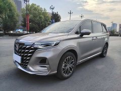 SAIC Rong Wei iMAX8 New Energy 2025 1.5T DMH Land Respect Luxury Edition - ფოტო 1