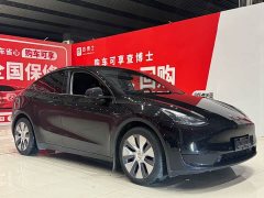 Tesla Model Y Long Range All-Wheel Drive - ფოტო 3