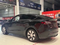 Tesla Model Y Long Range All-Wheel Drive - ფოტო 6